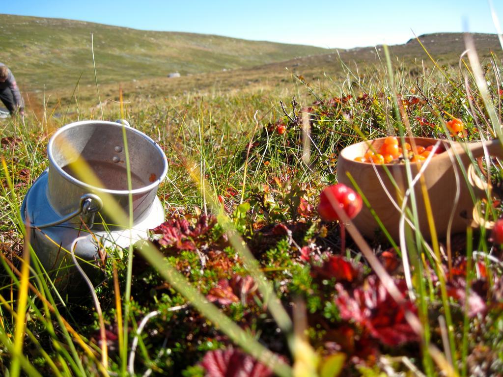 Norefjell - Storhytte Med Jacuzzi Og Fantastisk Beliggenhet Noresund Exterior foto